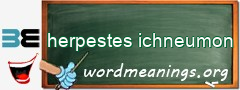 WordMeaning blackboard for herpestes ichneumon